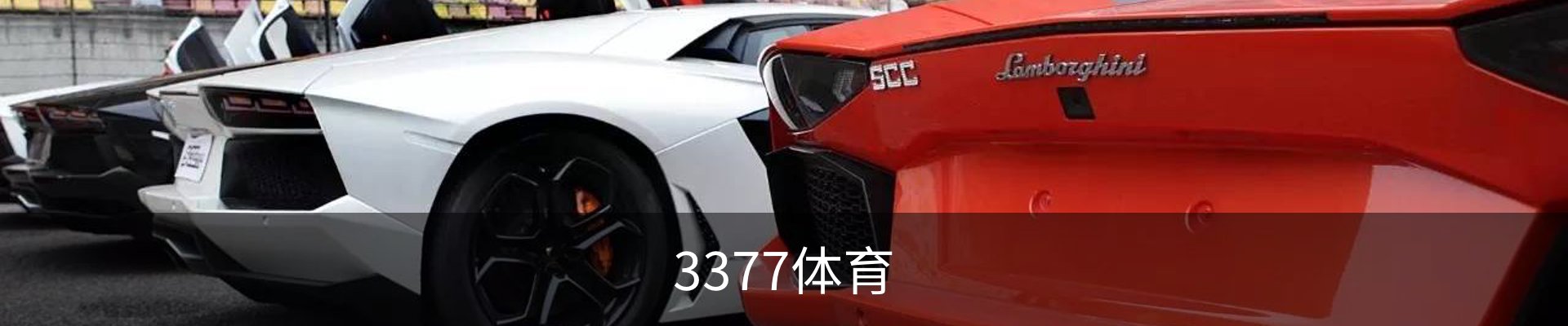 3377体育